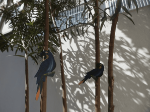 Screen-Shot-2015-04-02-at-3.36.09-PM